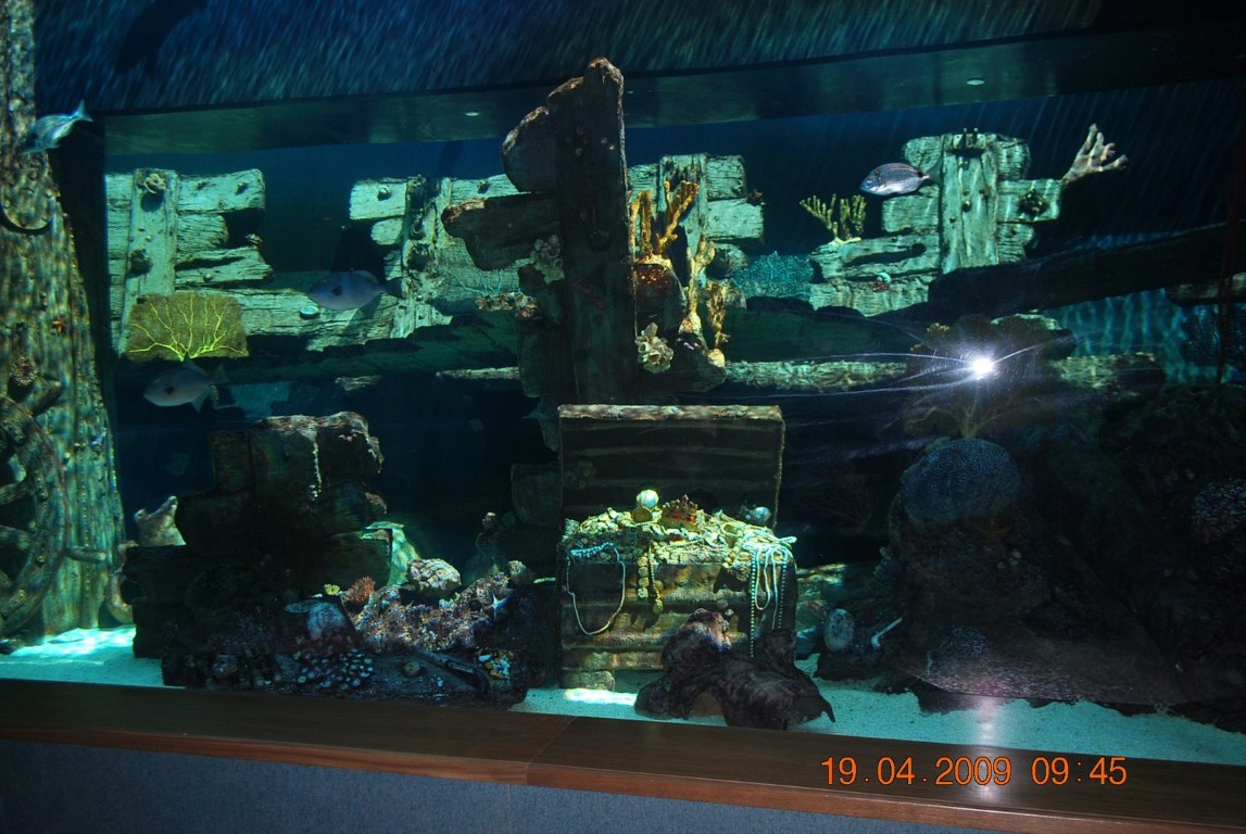 imagini hotel MARDAN PALACE